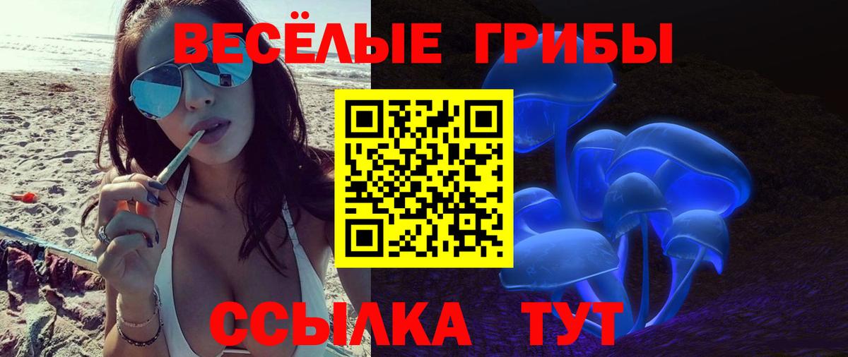 Тулун  закладка  Вход с VPN  Галлюциногенные грибы Psilocybine cubensis 